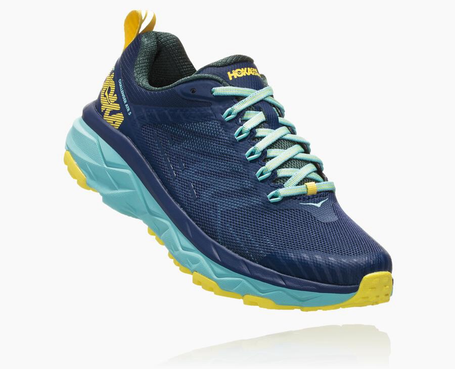 Hoka Womens Trail Shoes NZ - Hoka Challenger Atr 5 Blue (BJI168730)